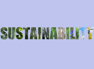 retail sustainability