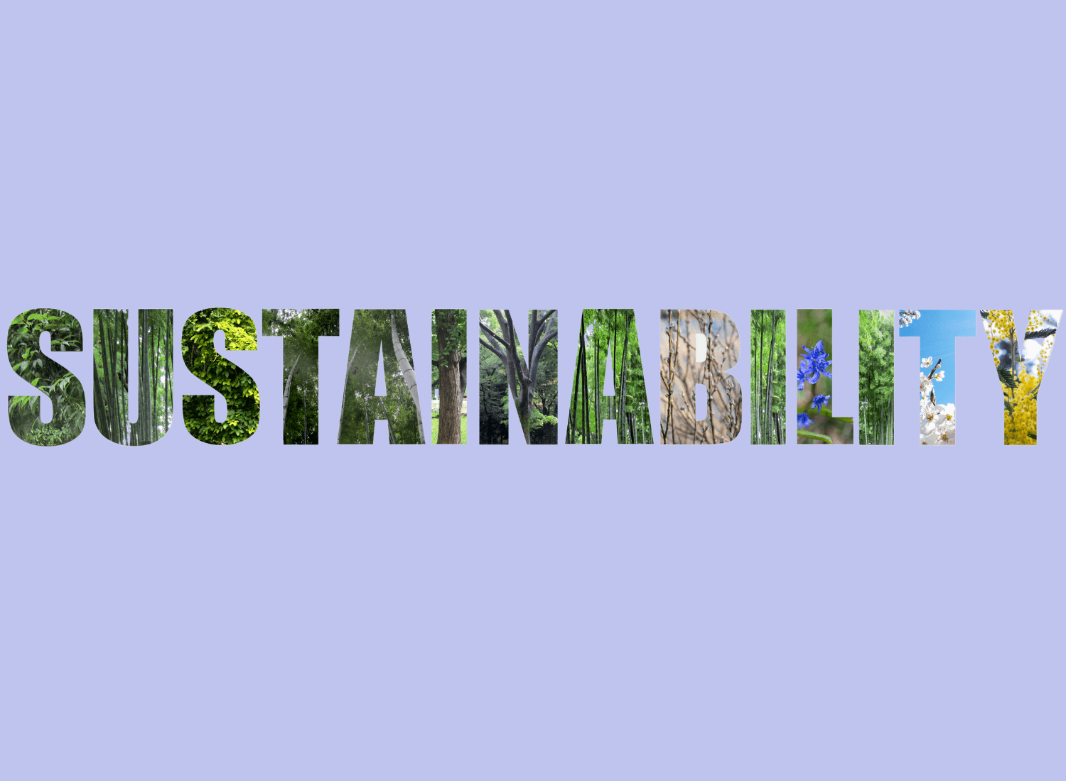 retail sustainability